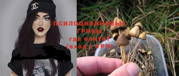 ГАЛЛЮЦИНОГЕННЫЕ ГРИБЫ Пролетарск