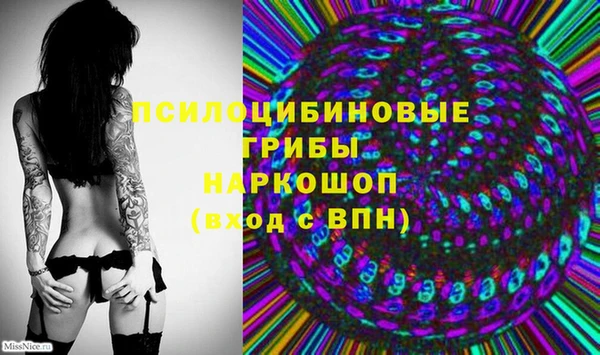 прущие грибы Приозерск