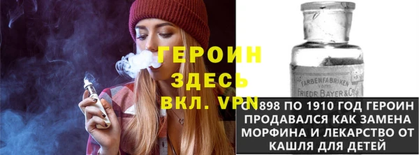 прущие грибы Приозерск