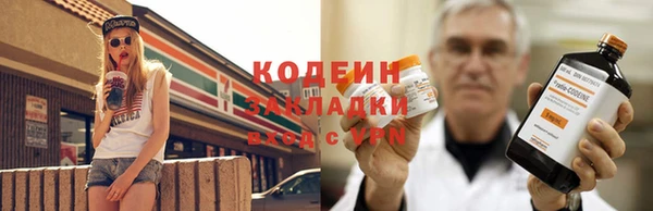 прущие грибы Приозерск