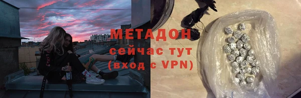 сатива Кедровый