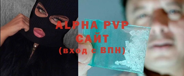 прущие грибы Приозерск