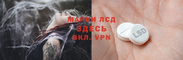 сатива Кедровый