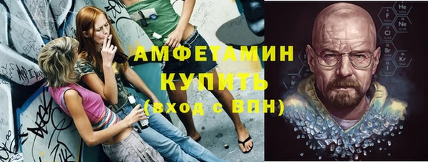 сатива Кедровый