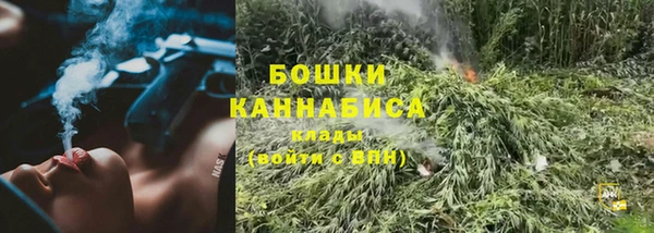 прущие грибы Приозерск
