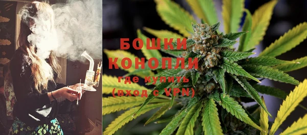 прущие грибы Приозерск