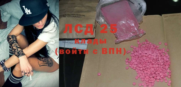 прущие грибы Приозерск