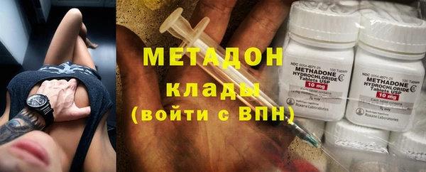 прущие грибы Приозерск